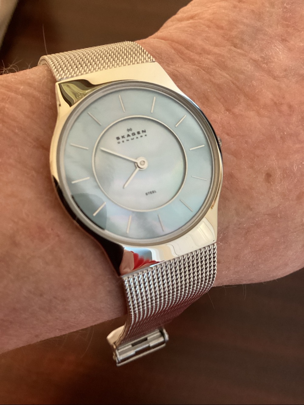Skagen Silver Mesh Watch with Pale Blue Dial - Picture 12 of 12